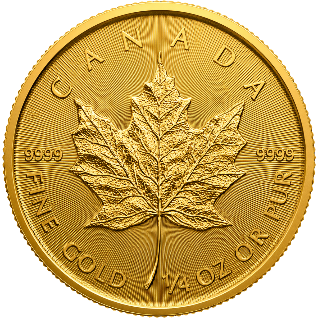 Maple Leaf 1/4 once